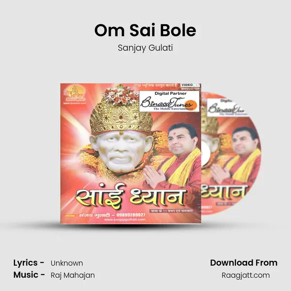 Om Sai Bole - Sanjay Gulati album cover 