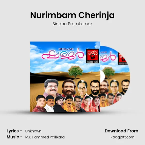 Nurimbam Cherinja - Sindhu Premkumar mp3 song