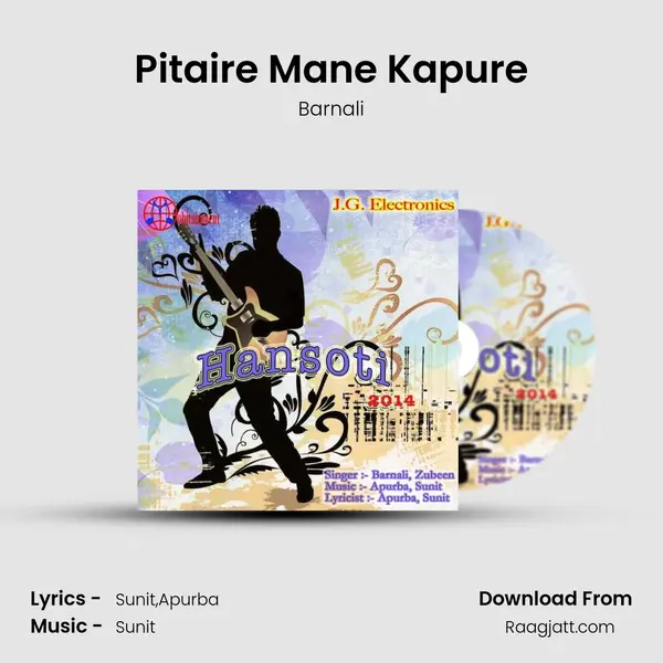 Pitaire Mane Kapure - Barnali album cover 