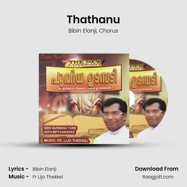 Thathanu - Bibin Elanji album cover 