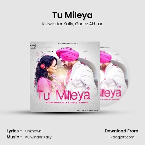 Tu Mileya mp3 song