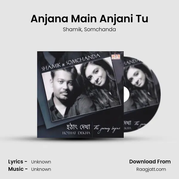 Anjana Main Anjani Tu - Shamik album cover 