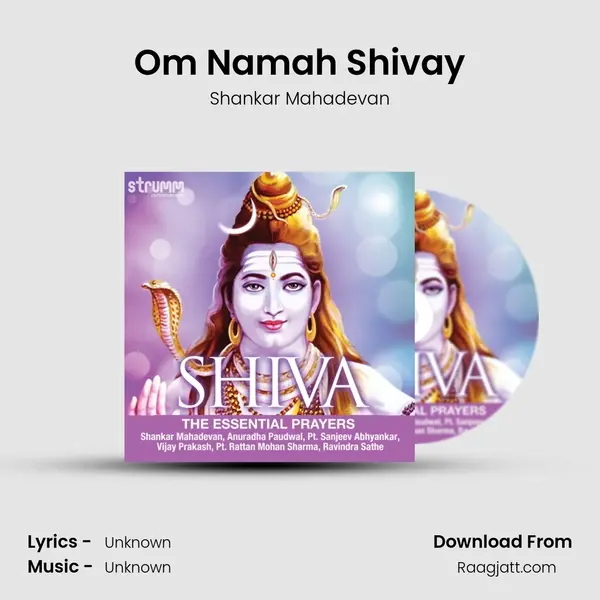 Om Namah Shivay - Shankar Mahadevan album cover 