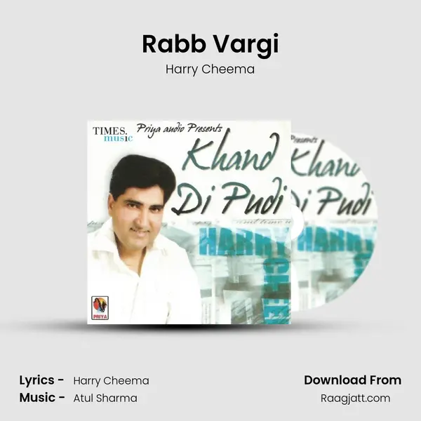 Rabb Vargi - Harry Cheema album cover 