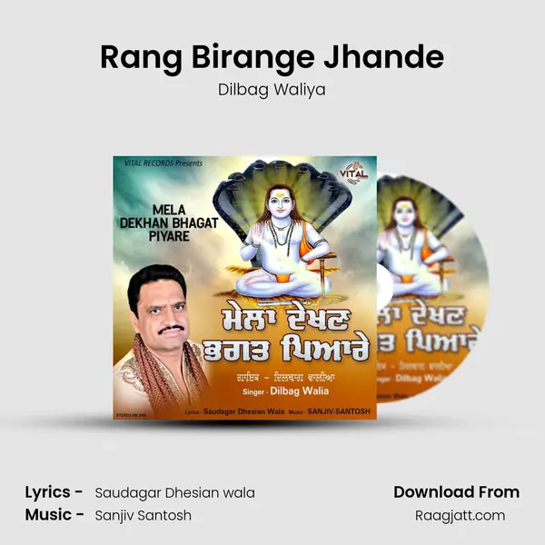 Rang Birange Jhande - Dilbag Waliya album cover 