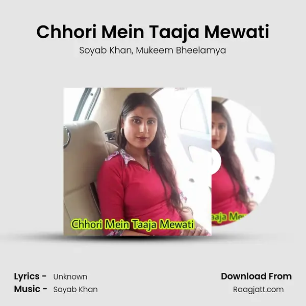 Chhori Mein Taaja Mewati - Soyab Khan album cover 