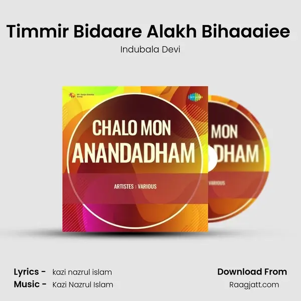 Timmir Bidaare Alakh Bihaaaiee (From Karagar) mp3 song