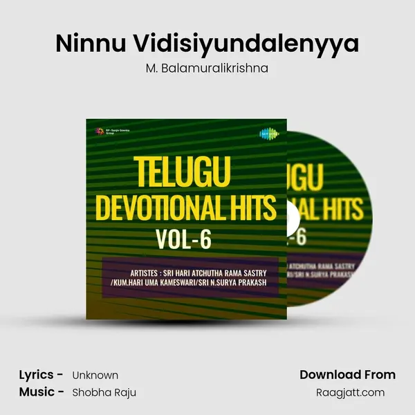 Ninnu Vidisiyundalenyya - M. Balamuralikrishna album cover 