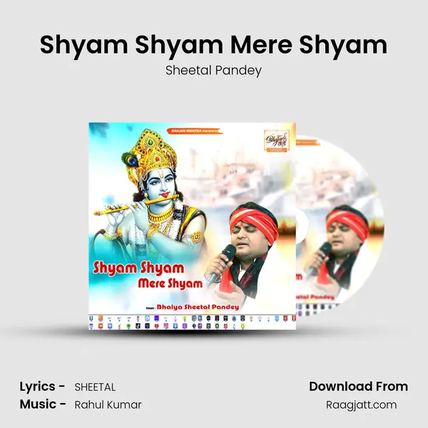 Shyam Shyam Mere Shyam - Sheetal Pandey album cover 