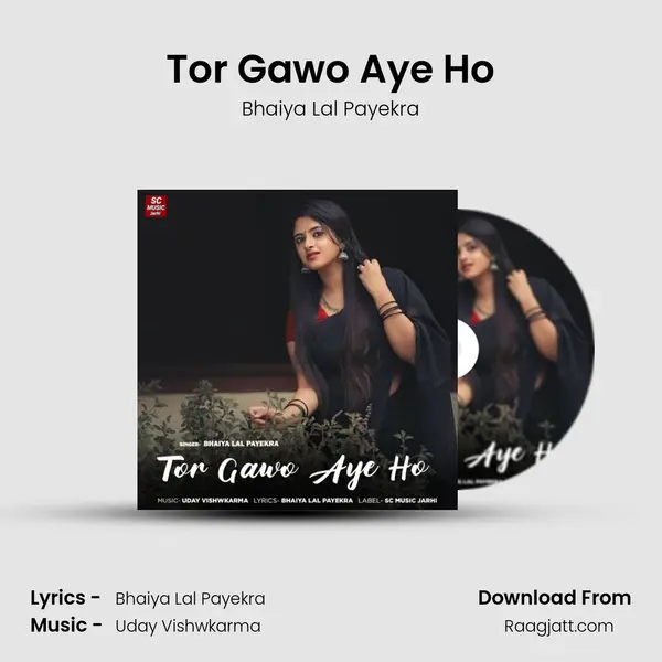 Tor Gawo Aye Ho - Bhaiya Lal Payekra album cover 