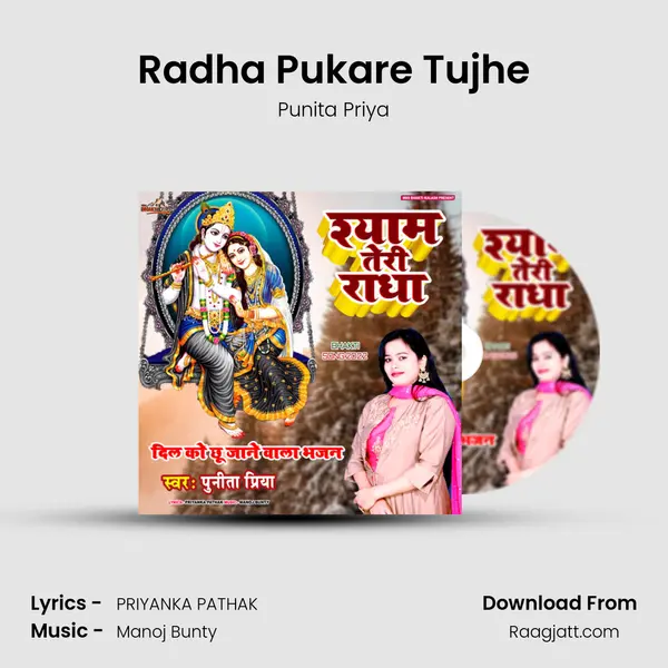 Radha Pukare Tujhe - Punita Priya album cover 