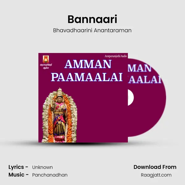 Bannaari - Bhavadhaarini Anantaraman album cover 