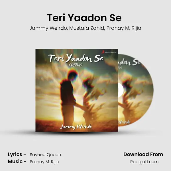 Teri Yaadon Se (Lofi Flip) - Jammy Weirdo album cover 