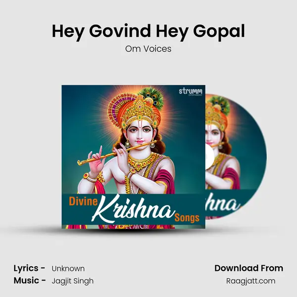 Hey Govind Hey Gopal mp3 song