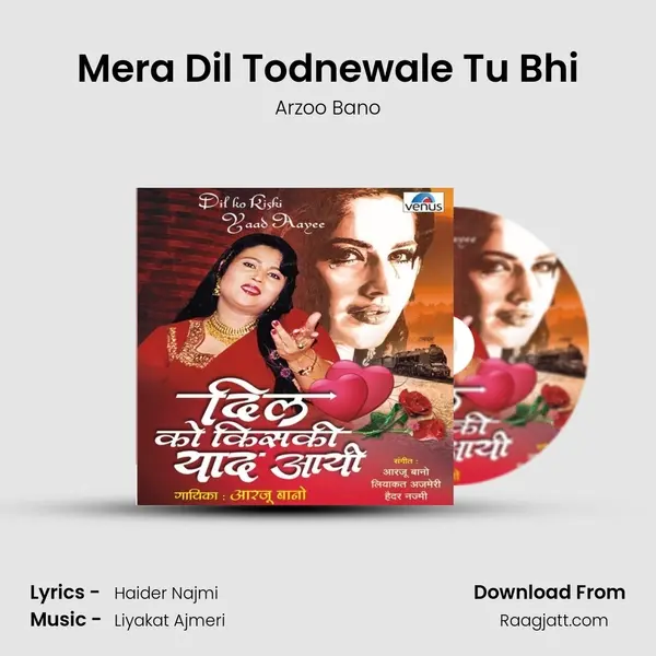 Mera Dil Todnewale Tu Bhi - Arzoo Bano album cover 