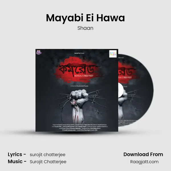 Mayabi Ei Hawa - Shaan album cover 