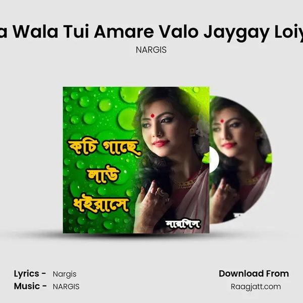 Riksha Wala Tui Amare Valo Jaygay Loiya Ala - NARGIS album cover 