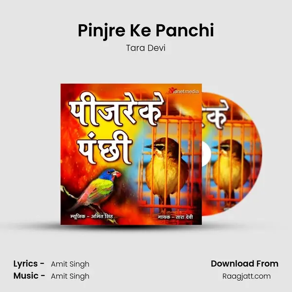 Pinjre Ke Panchi mp3 song