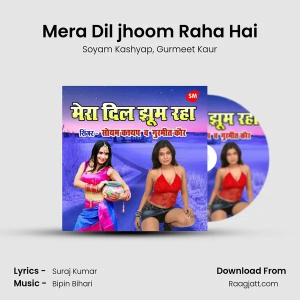 Mera Dil jhoom Raha Hai mp3 song