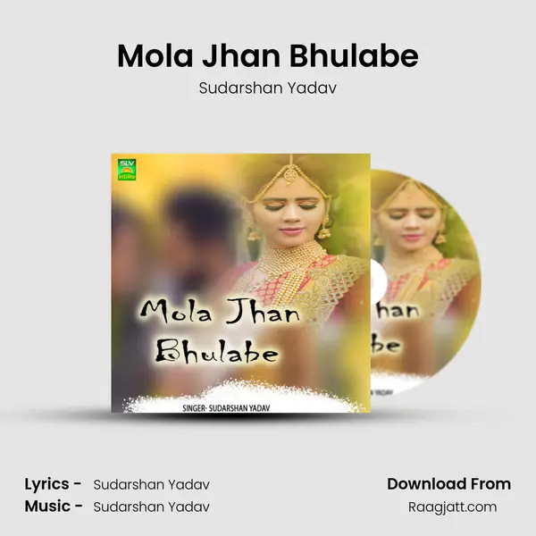 Mola Jhan Bhulabe - Sudarshan Yadav album cover 