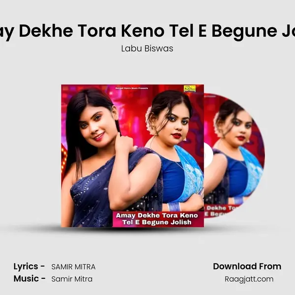 Amay Dekhe Tora Keno Tel E Begune Jolish - Labu Biswas album cover 