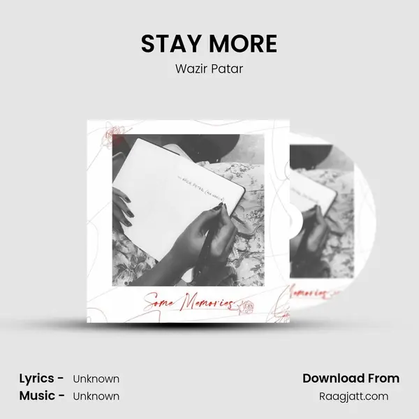 STAY MORE - Wazir Patar album cover 