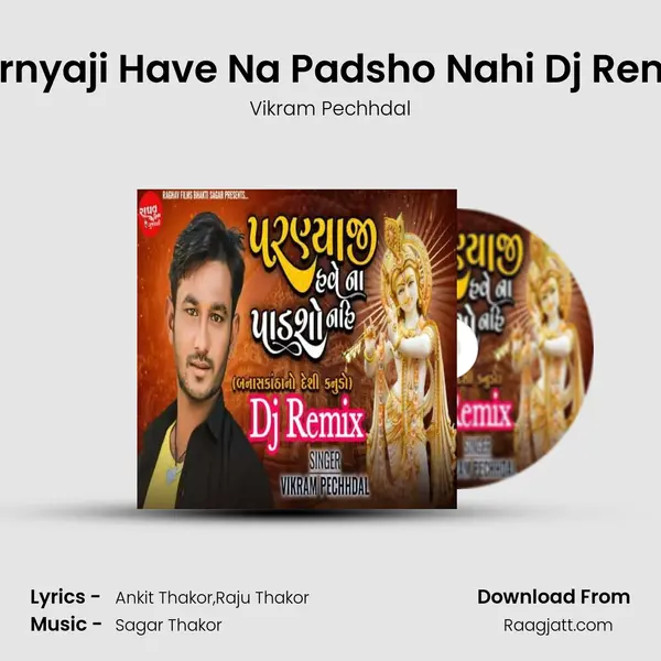 Parnyaji Have Na Padsho Nahi Dj Remix mp3 song