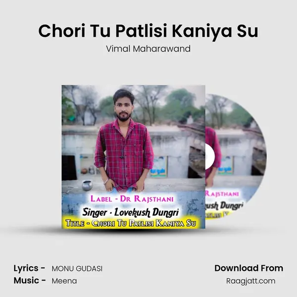 Chori Tu Patlisi Kaniya Su - Vimal Maharawand album cover 