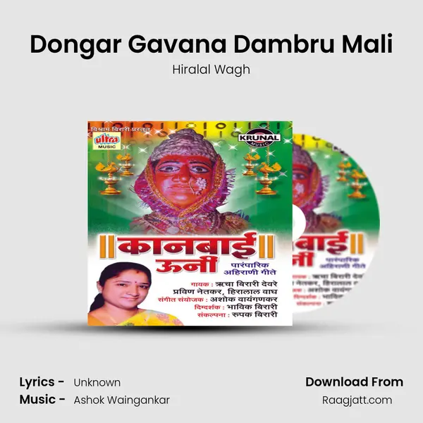 Dongar Gavana Dambru Mali - Hiralal Wagh album cover 