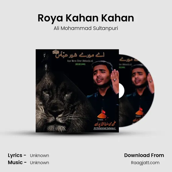 Roya Kahan Kahan - Ali Mohammad Sultanpuri album cover 