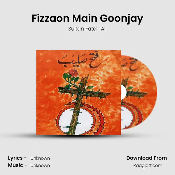 Fizzaon Main Goonjay - Sultan Fateh Ali album cover 