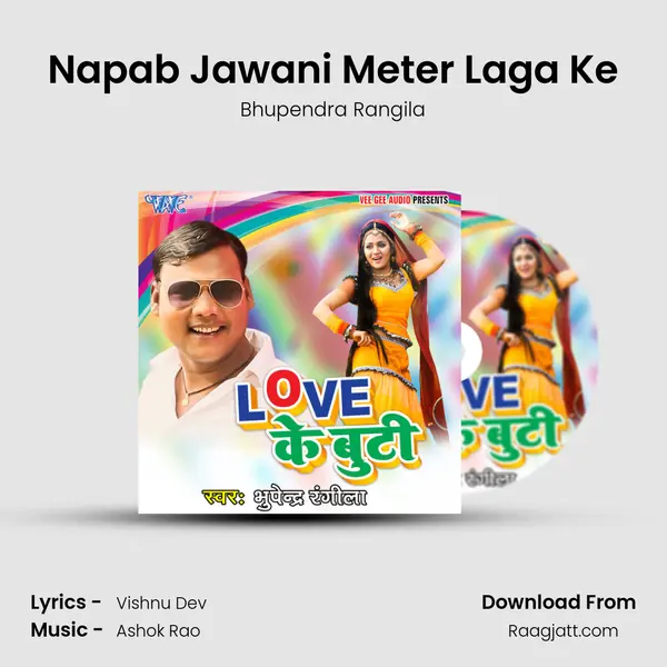 Napab Jawani Meter Laga Ke mp3 song