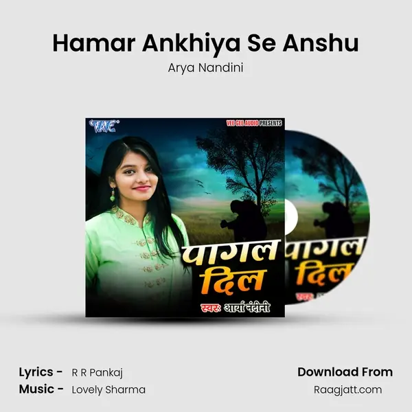 Hamar Ankhiya Se Anshu - Arya Nandini album cover 