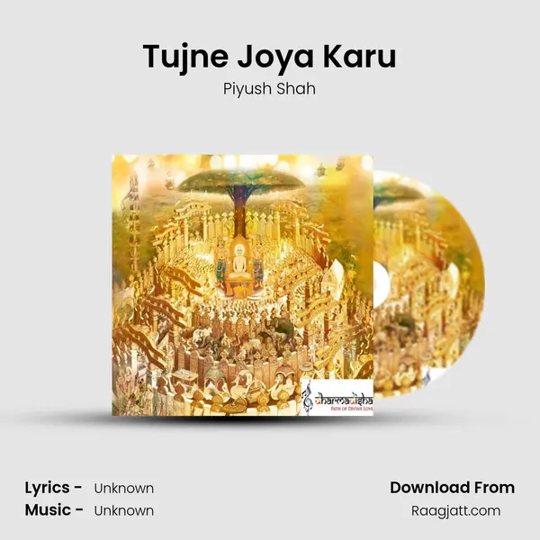 Tujne Joya Karu - Piyush Shah album cover 