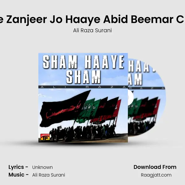 Pehne Zanjeer Jo Haaye Abid Beemar Chalay mp3 song