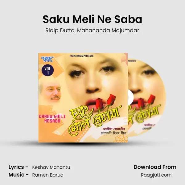 Saku Meli Ne Saba mp3 song