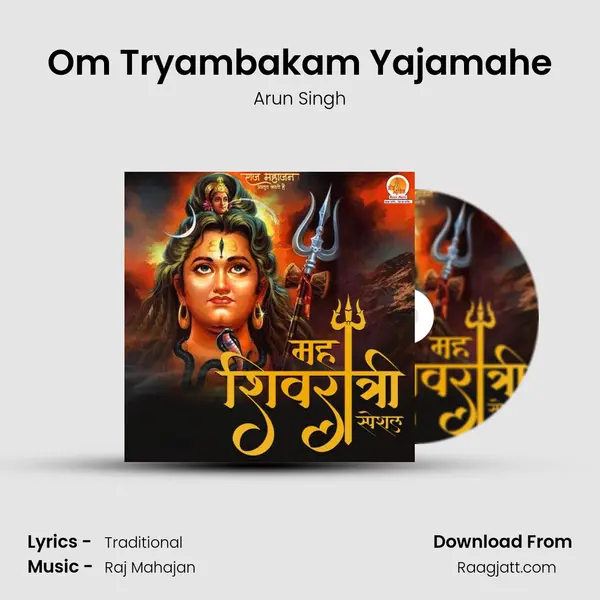 Om Tryambakam Yajamahe mp3 song