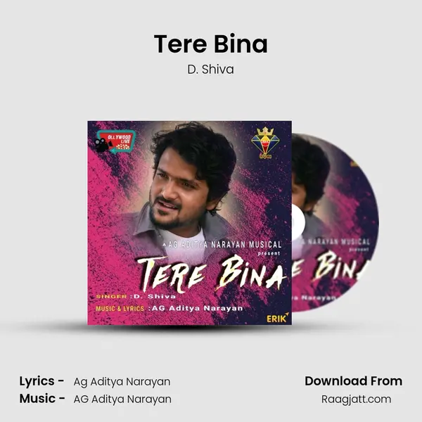 Tere Bina - D. Shiva album cover 