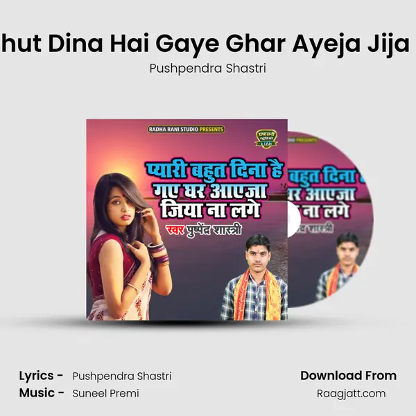 Pyari Bahut Dina Hai Gaye Ghar Ayeja Jija Na Lage mp3 song