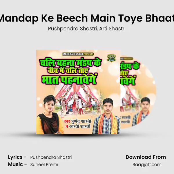 Chali Behna Mandap Ke Beech Main Toye Bhaat Pehnavenge mp3 song