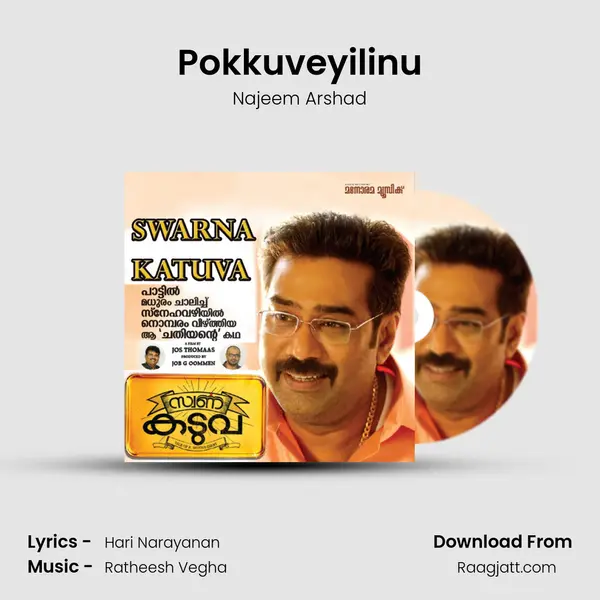 Pokkuveyilinu mp3 song