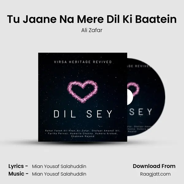 Tu Jaane Na Mere Dil Ki Baatein - Ali Zafar album cover 