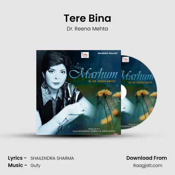 Tere Bina mp3 song