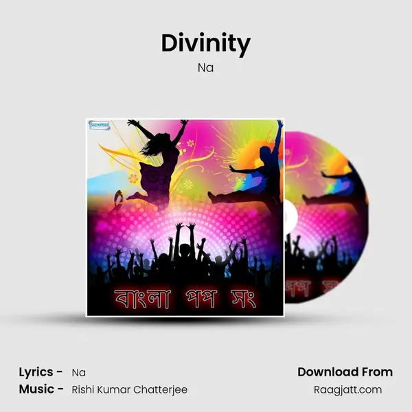 Divinity - Na album cover 