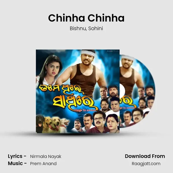 Chinha Chinha - Bishnu album cover 