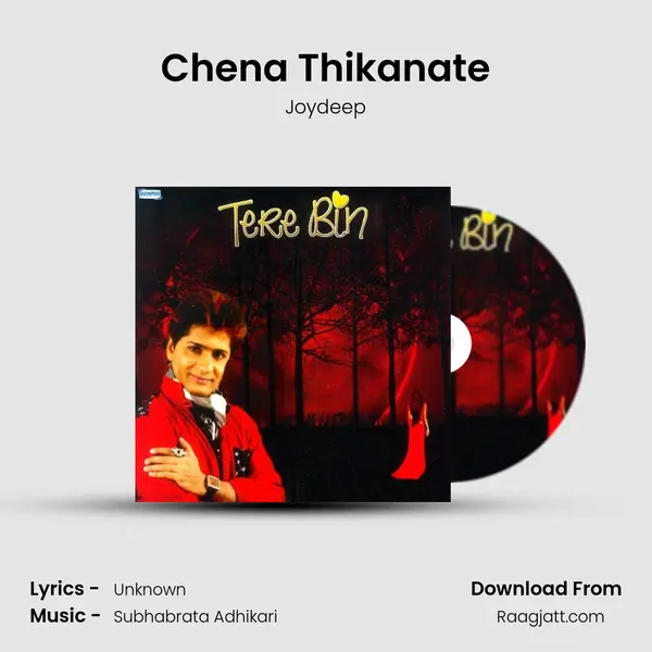 Chena Thikanate - Joydeep album cover 