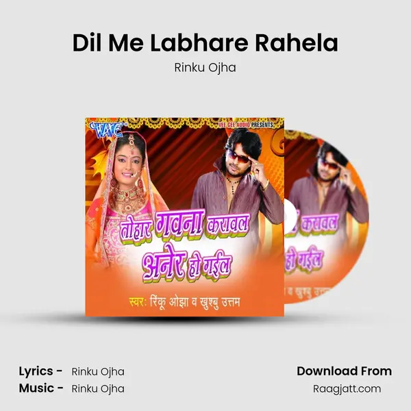 Dil Me Labhare Rahela mp3 song