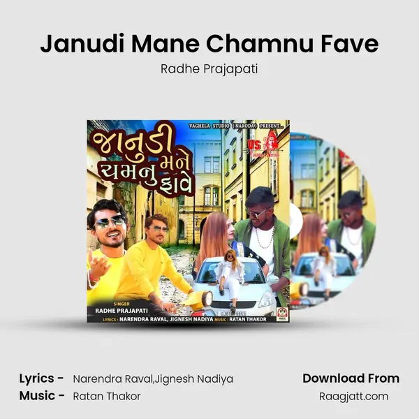 Janudi Mane Chamnu Fave - Radhe Prajapati album cover 