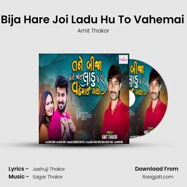 Tane Bija Hare Joi Ladu Hu To Vahemai Gayo mp3 song