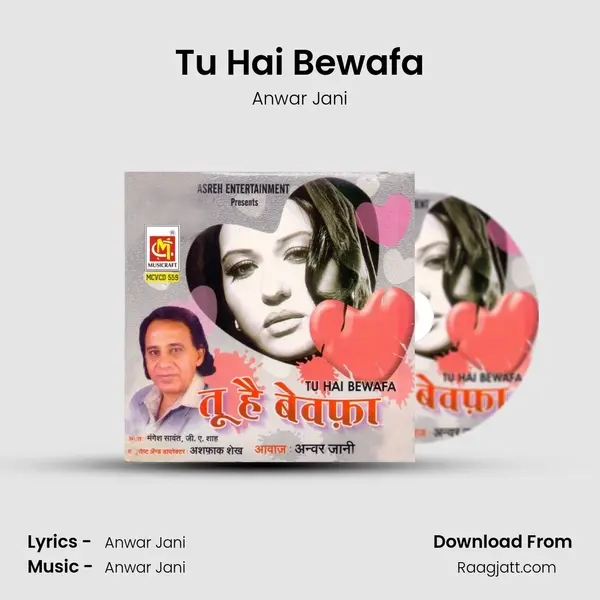 Tu Hai Bewafa - Anwar Jani album cover 